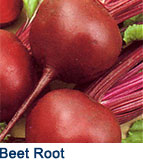 beetroot