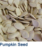 Pumpkin_Seed