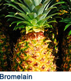 bromelain