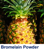 bromelain_powder