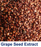 Grape Seed Extract