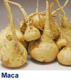 Maca