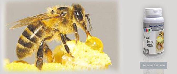 Royal Jelly