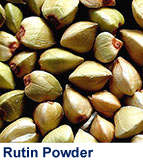 rutin_powder