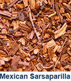 sarsaparilla