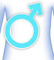 sfmbody